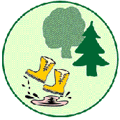 Waldkindergarten-Logo